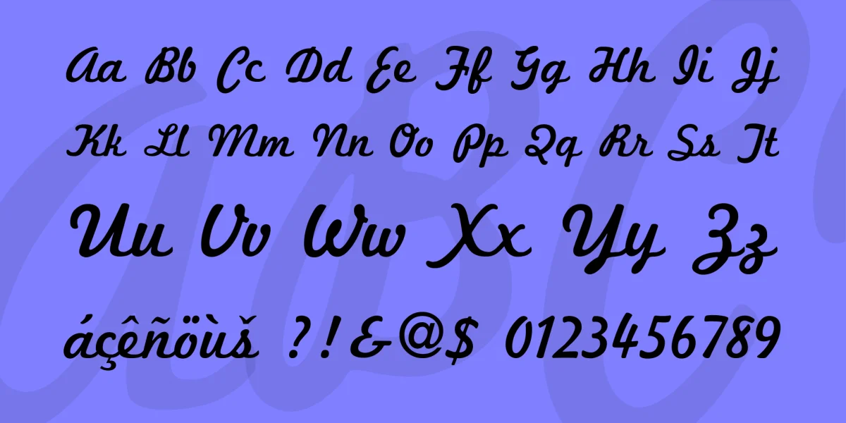 Marketing Script Font Family preview 4