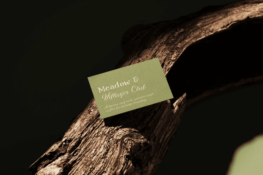 Meadow Demo Font preview 8
