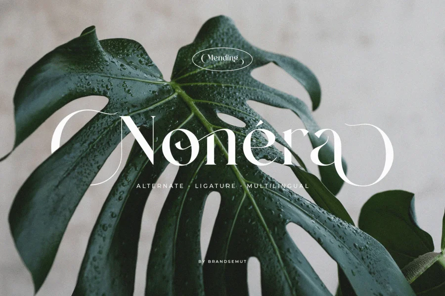 Mending Font preview 2