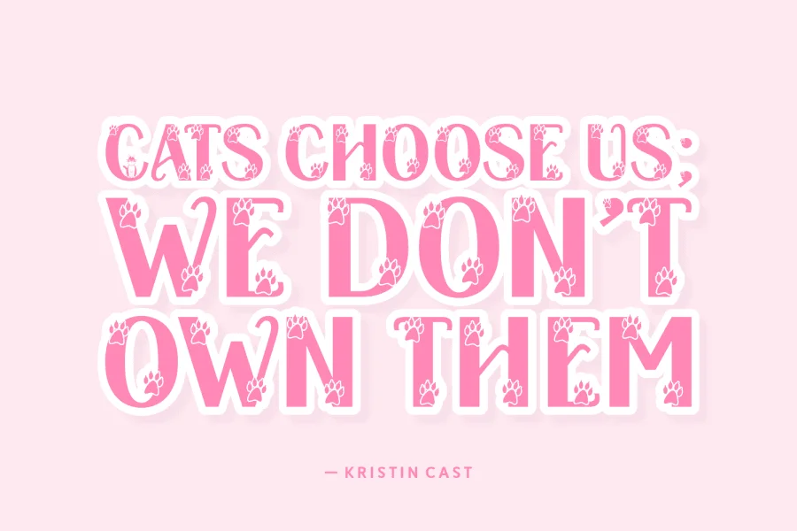 Meowy Kitties Font preview 3