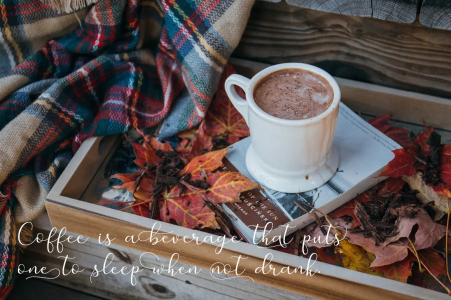 merlin Font preview 6