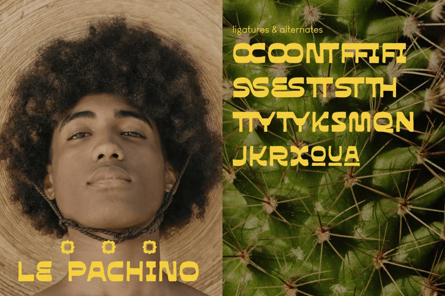 Mezicola Font preview 2
