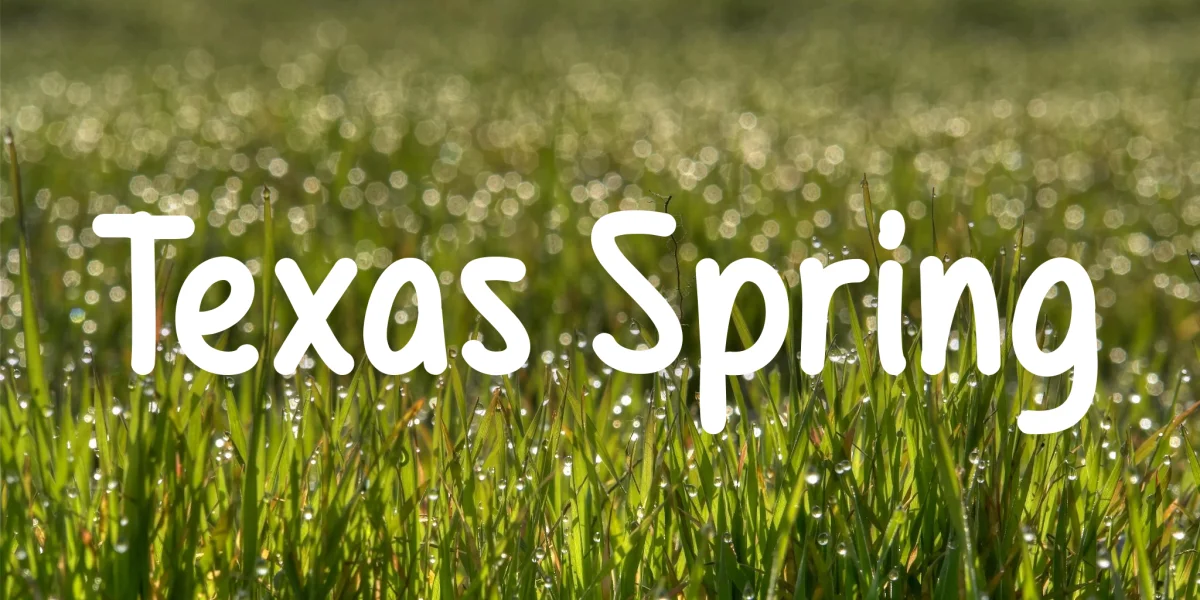 Texas Spring Font preview 2