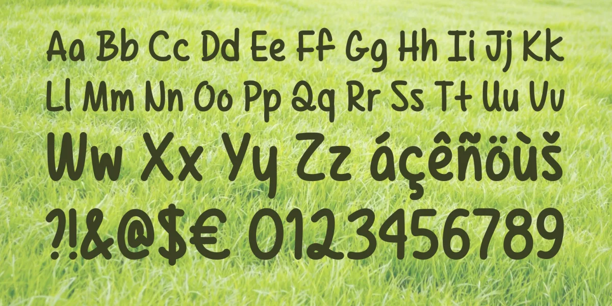 Texas Spring Font preview 5