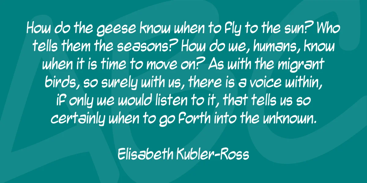 Mighty Zeo Font Family preview 3