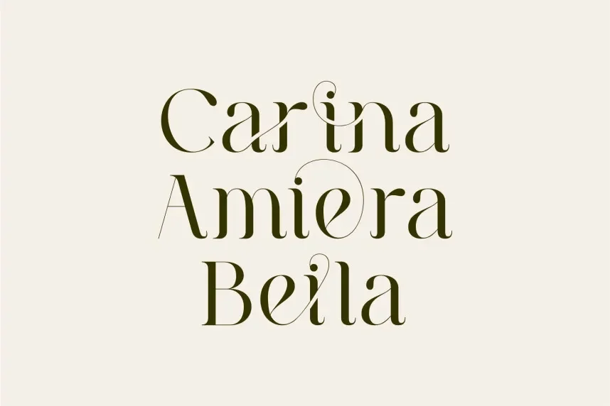 Milea – Serif Vintage Font preview 6