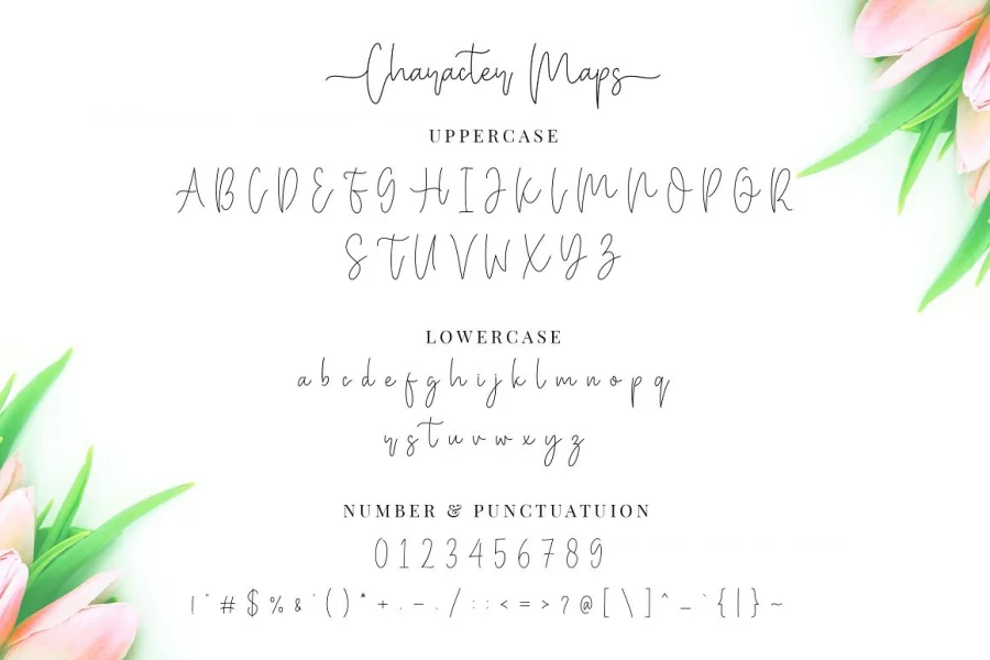Miya Wayne Font preview 14