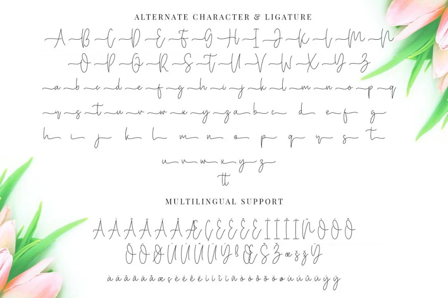 Miya Wayne Font preview 15