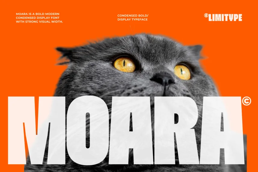 Moara Font preview 2