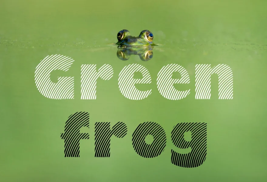 Moare Font preview 4
