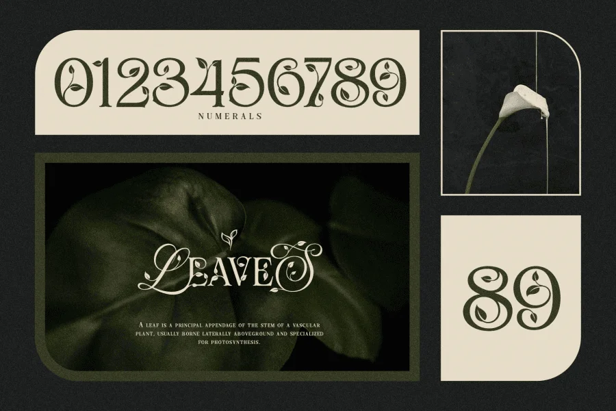 Mobalys Font preview 2