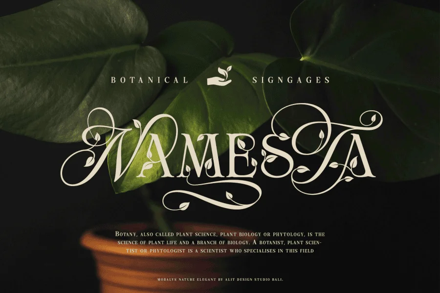 Mobalys Font preview 8