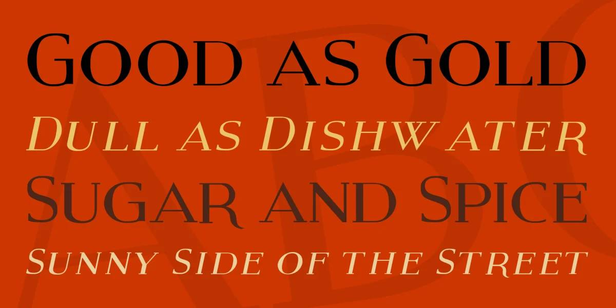 Modern Serif Font Family preview 2