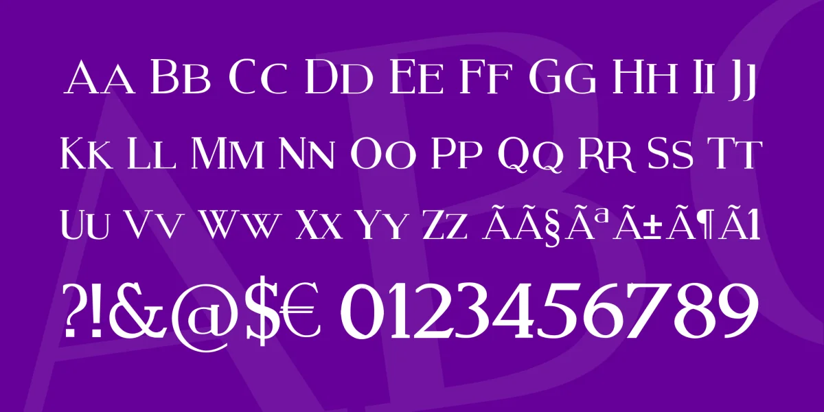 Modern Serif Font Family preview 4