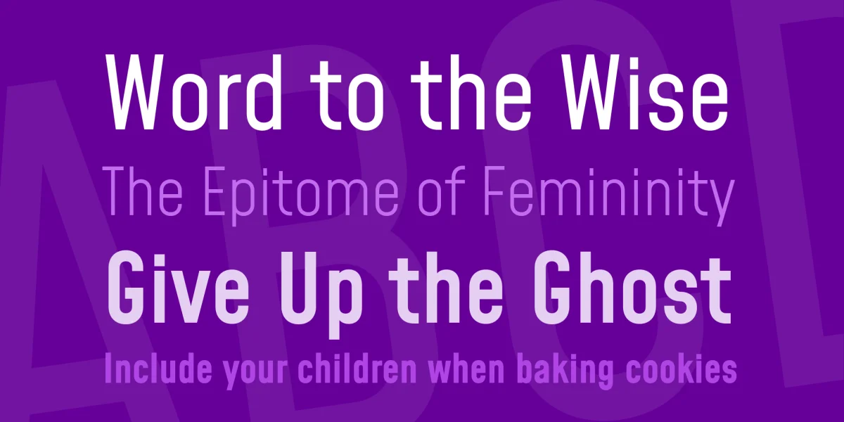 Mohave Font Family preview 2