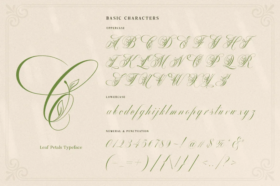 Mollani Font preview 5