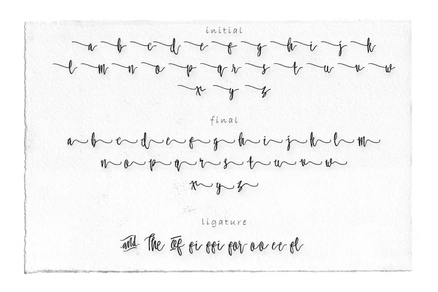 Molluca Font Family preview 8