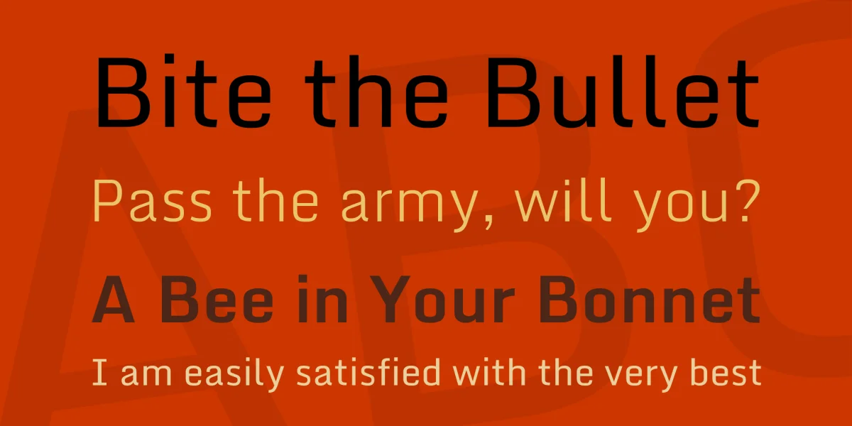 Monda Font Family preview 2