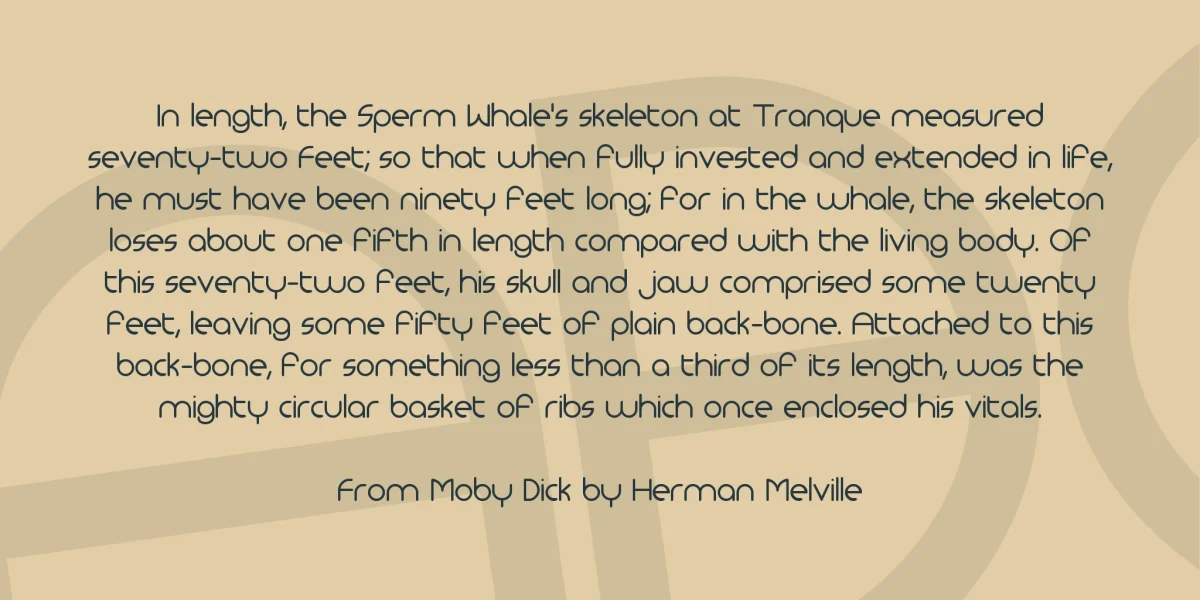 Monoglyceride Font Family preview 3