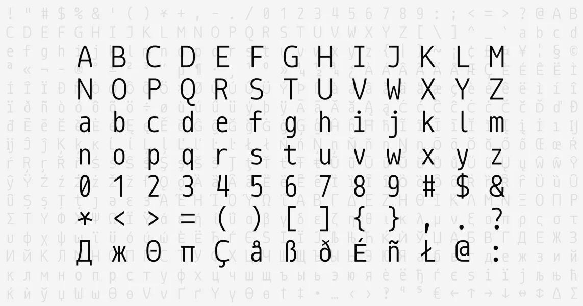 Monoid Font preview 4