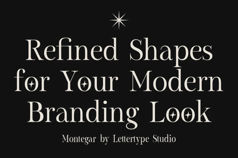 Montegar Demo Font Family preview 9