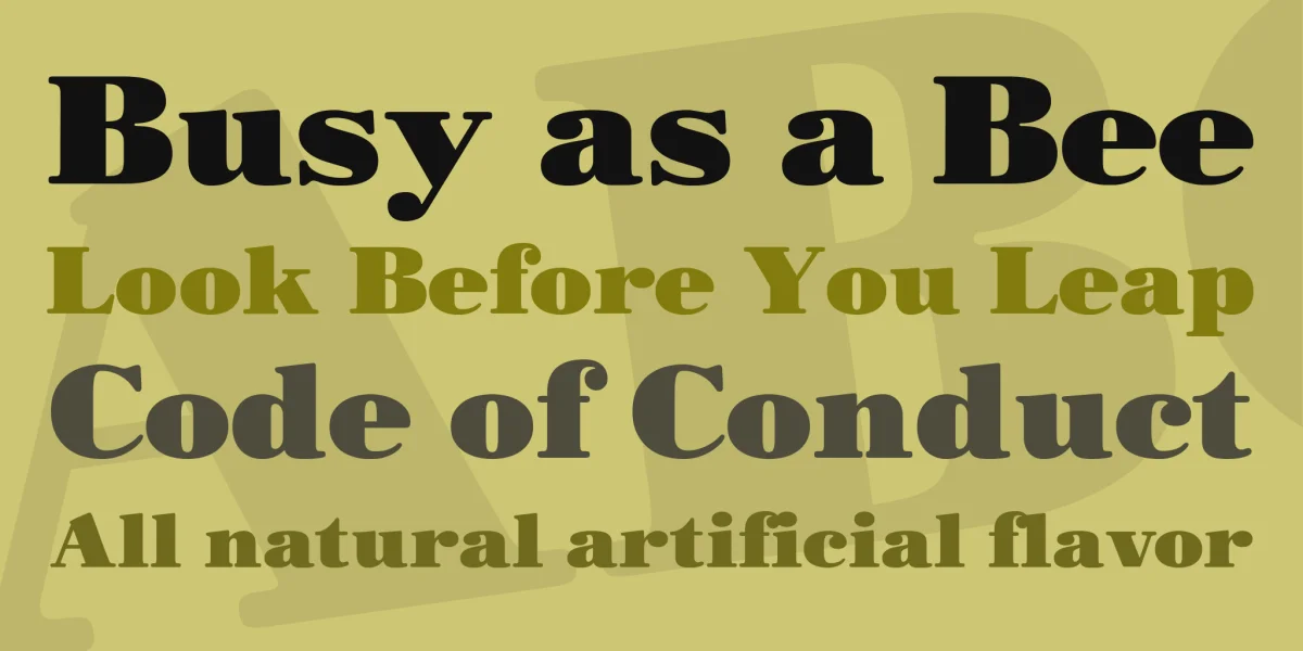 Morbodoni Font preview 2