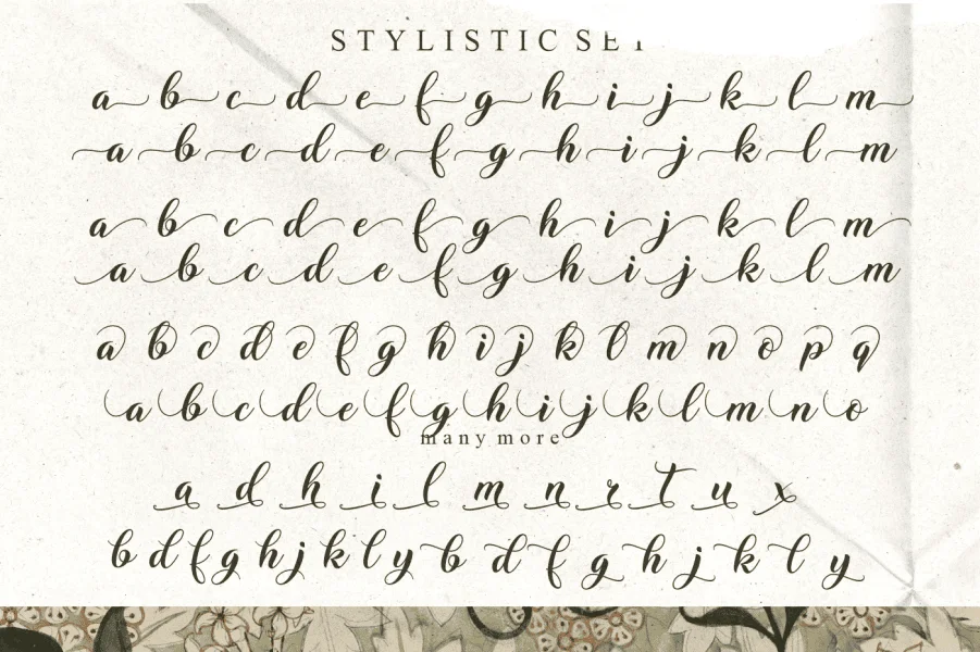 Ms Stusi Font preview 3