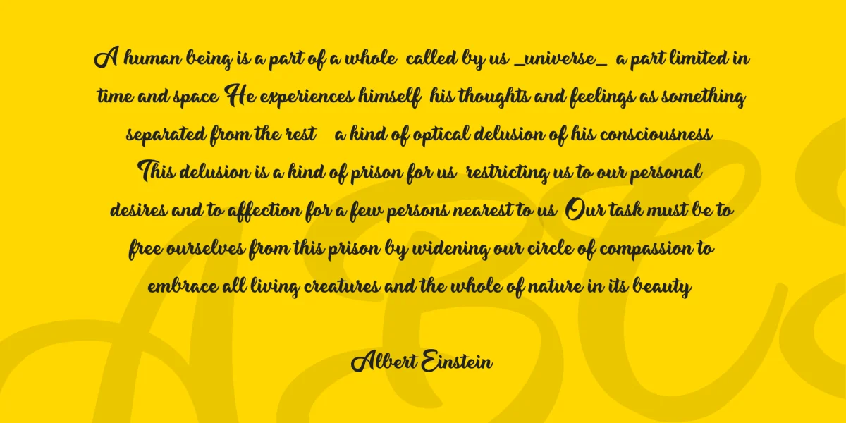 Music Magic Personal Use Font preview 3