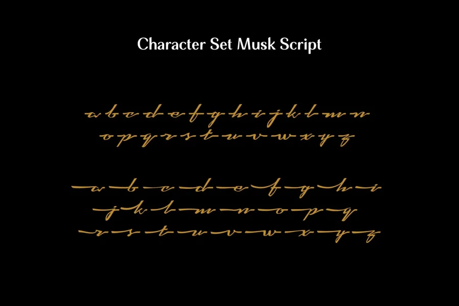 Musk Font Family preview 11