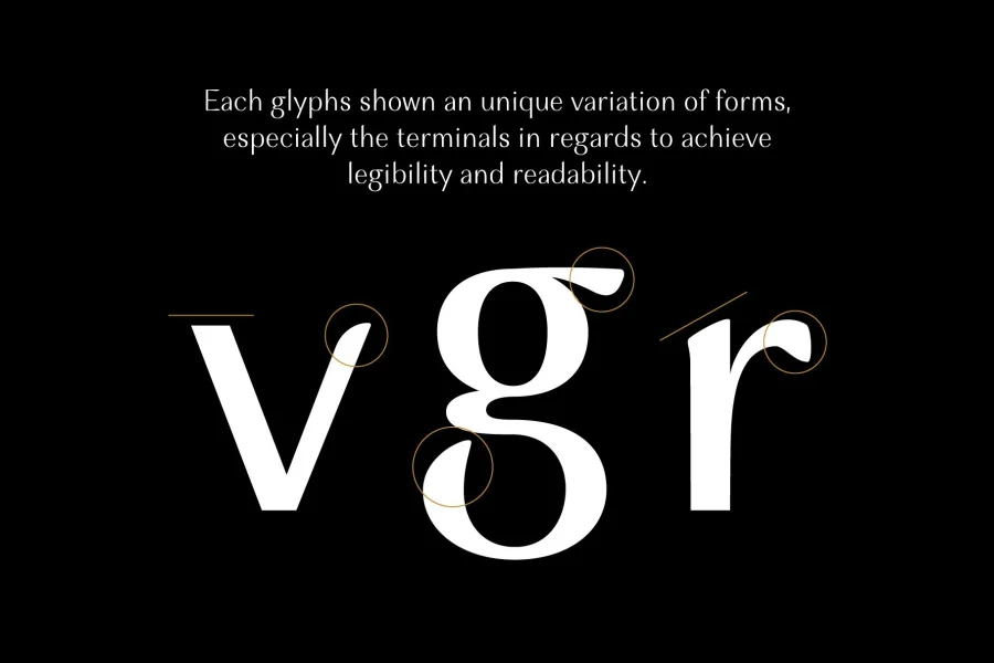 Musk Font Family preview 3