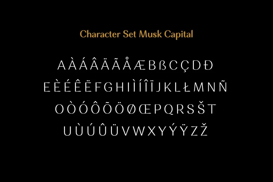 Musk Font Family preview 8
