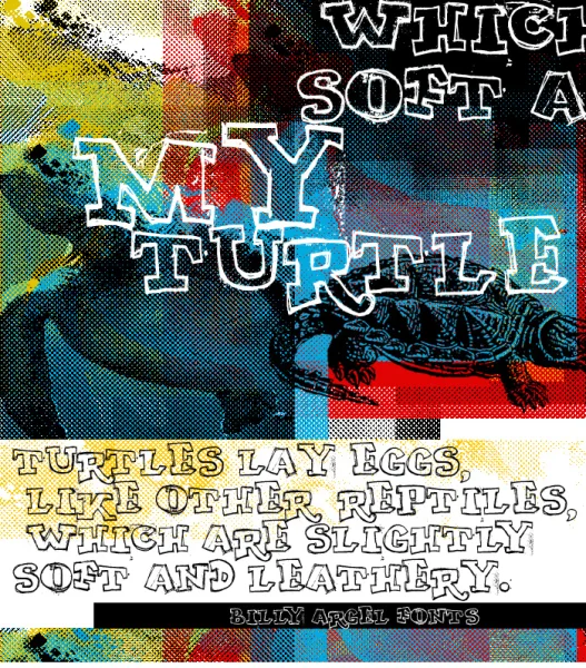 MY TURTLE Font