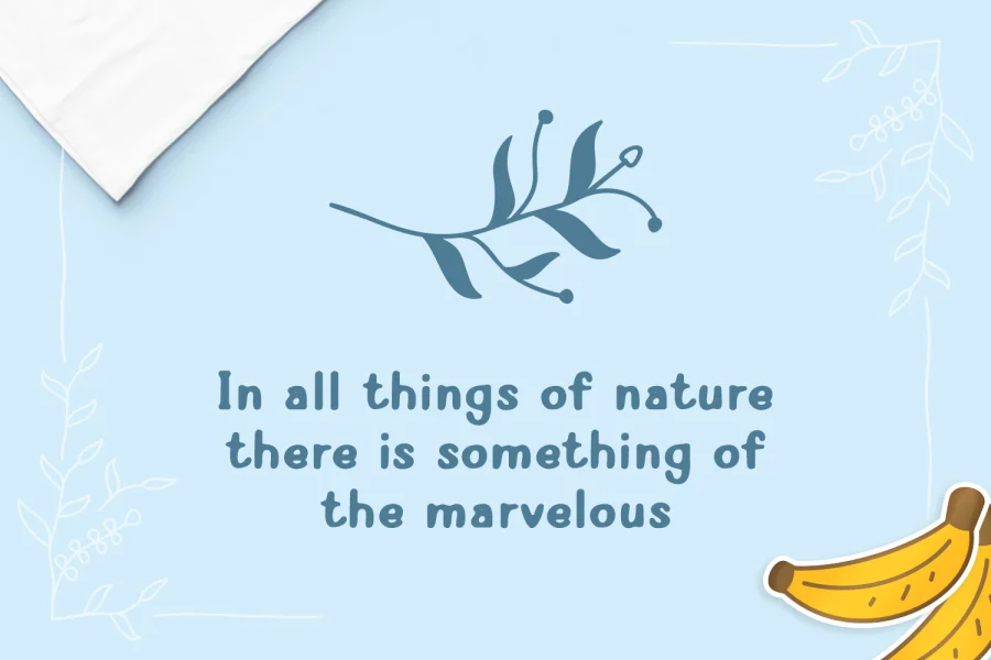 Nabana Font preview 12