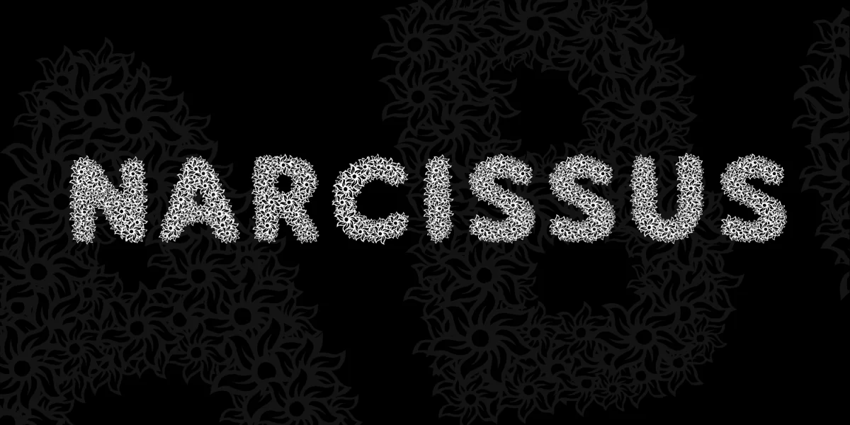 Narcissus Font preview 3