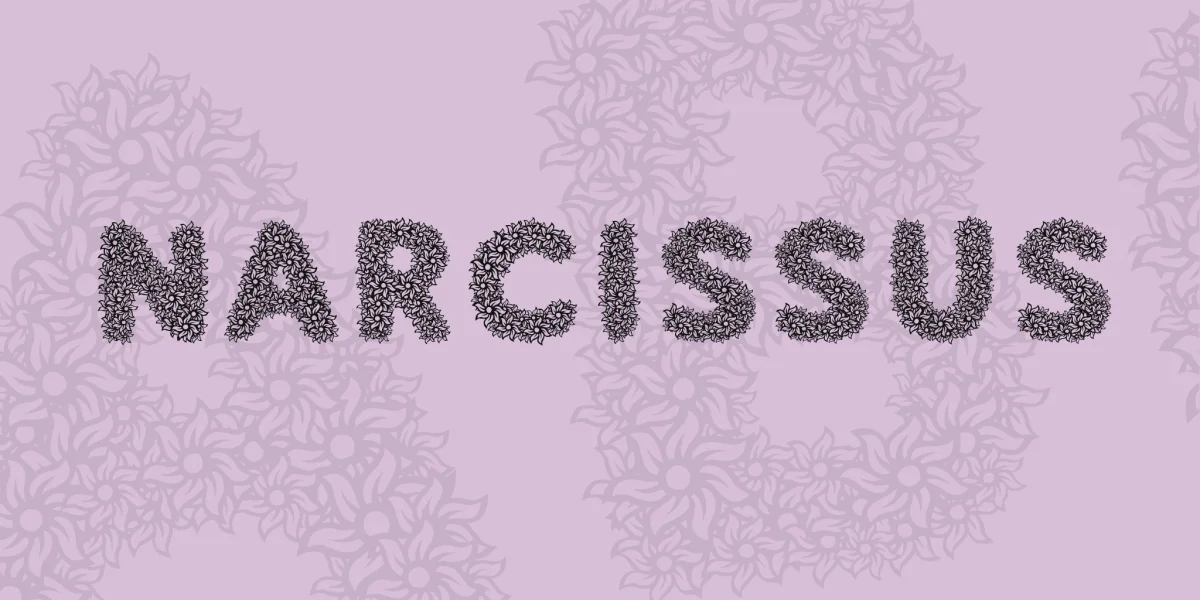 Narcissus Font preview 4