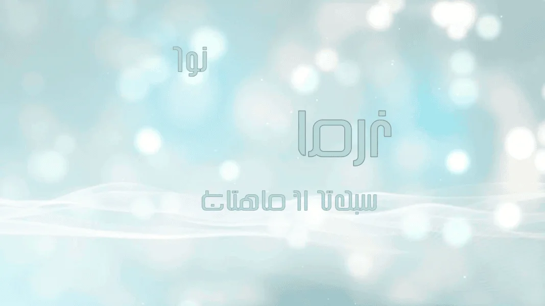 narm Font Family