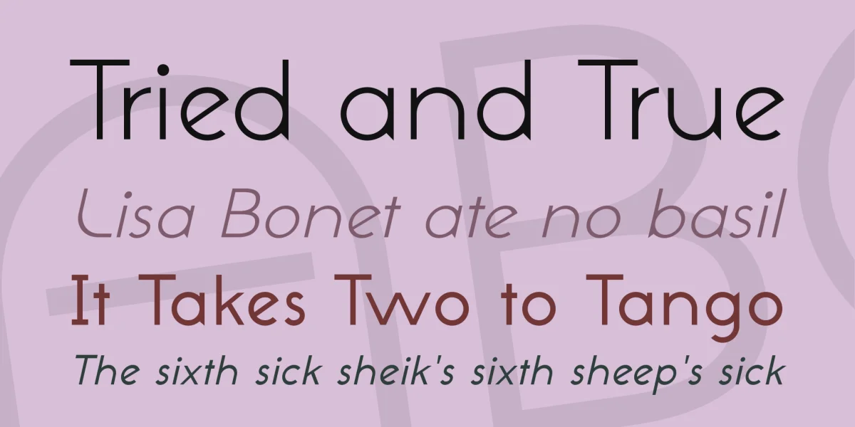 NeoGothis ADF Std Font Family preview 2