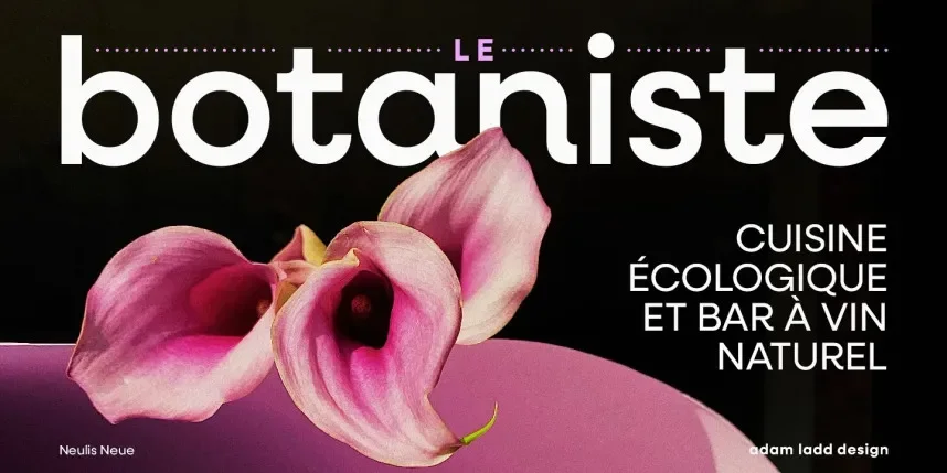 Neulis Font Family preview 3