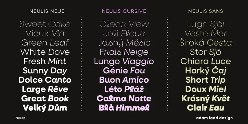 Neulis Font Family preview 5
