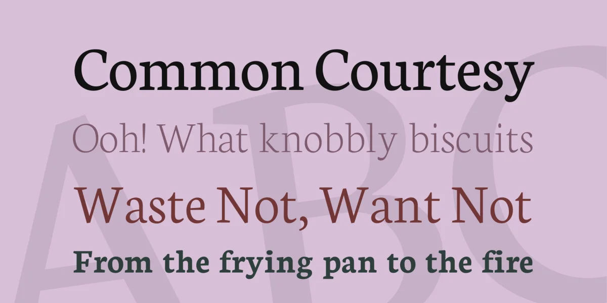 Neuton Font Family preview 2