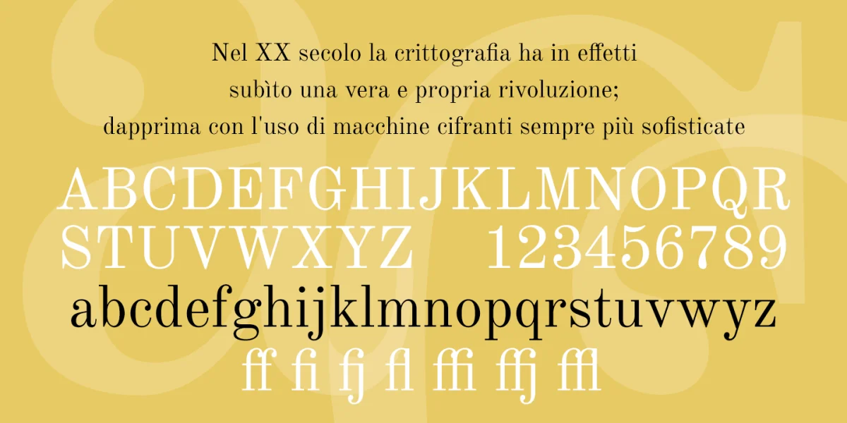 New Standard Font preview 3
