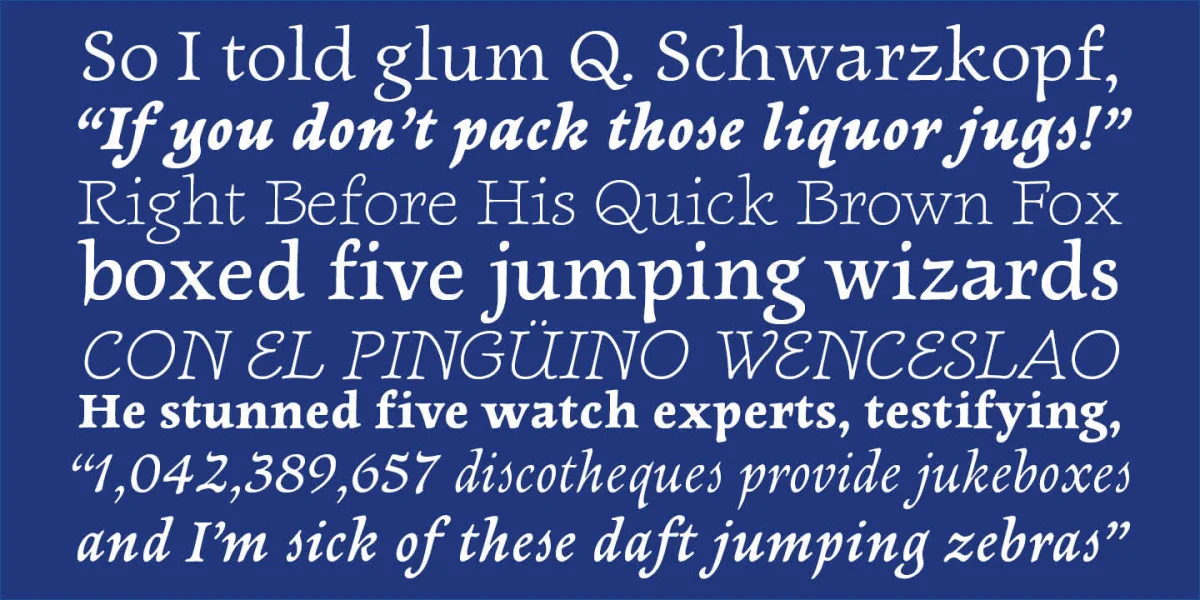 Newt Serif Font Family preview 3