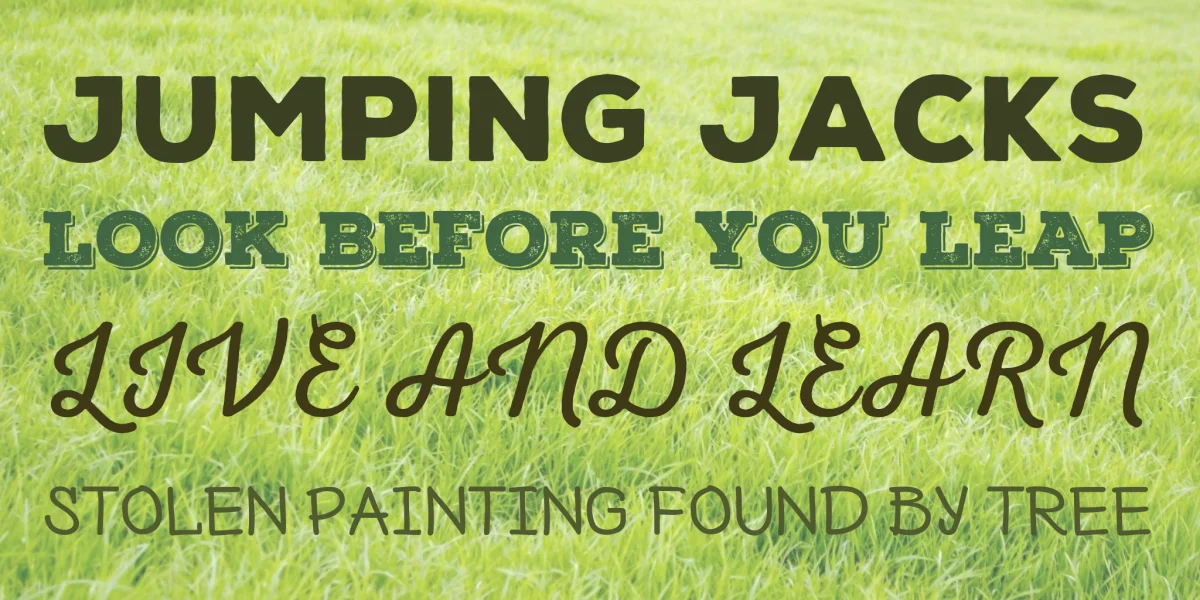 Nexa Rust Font Family preview 2
