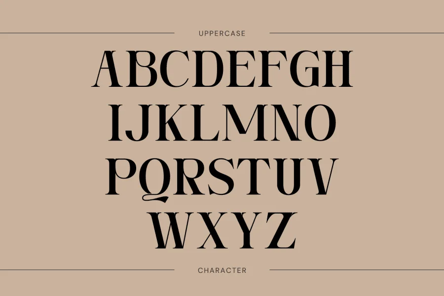 Ngetic Modern Font Family preview 4