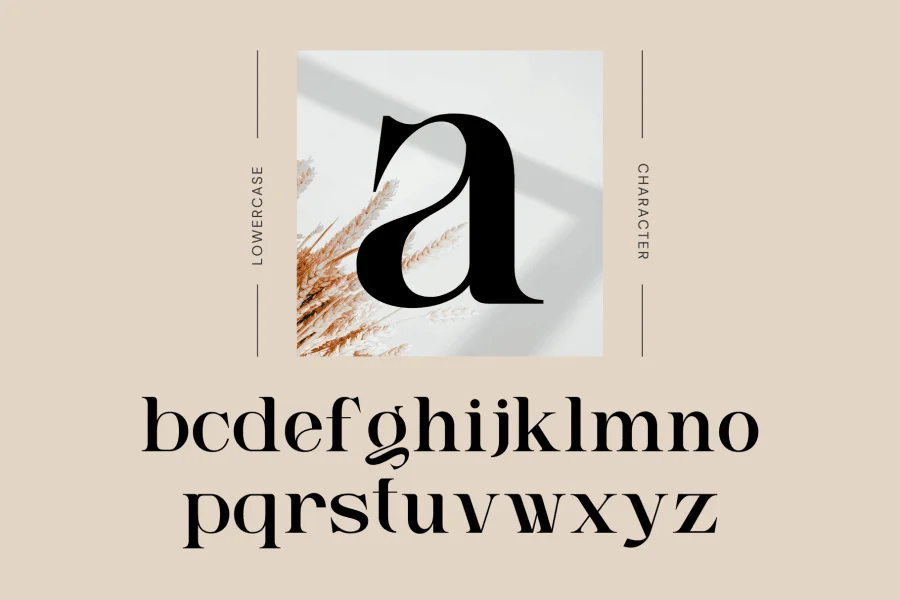 Ngetic Modern Font Family preview 5