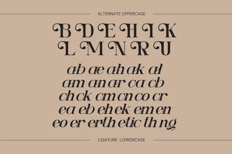 Ngetic Modern Font Family preview 8