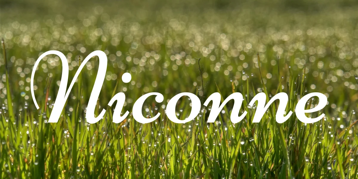 Niconne Font