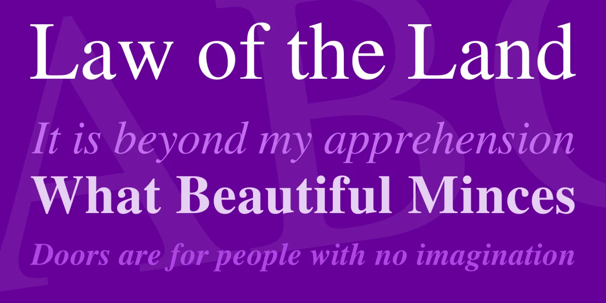 Nimbus Roman No9 L Font Family preview 2