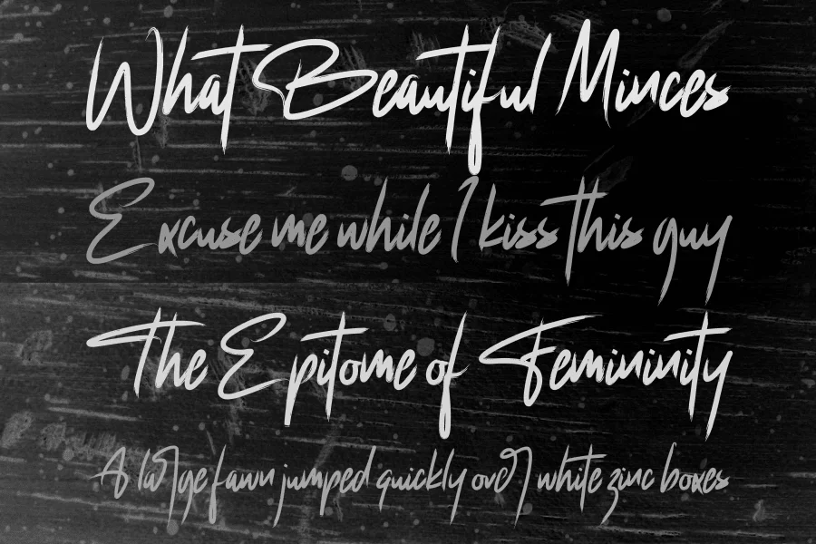 nisha Font Family preview 5