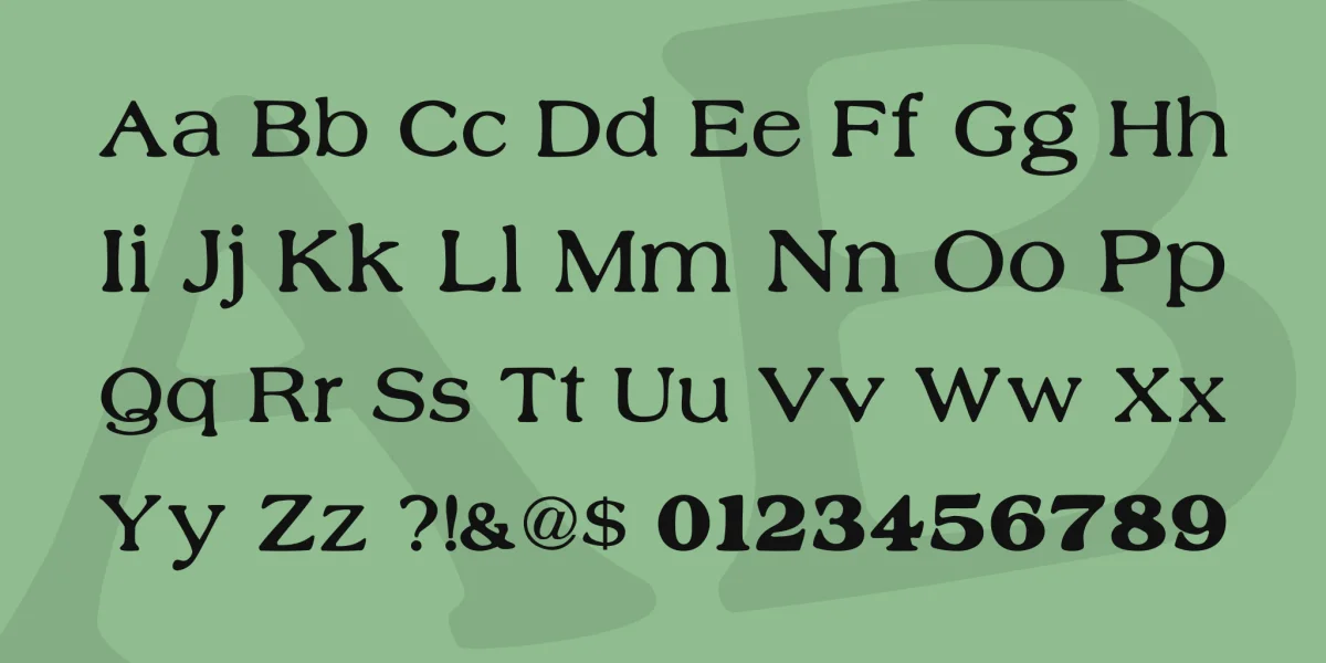 Nobility Casual Font preview 4